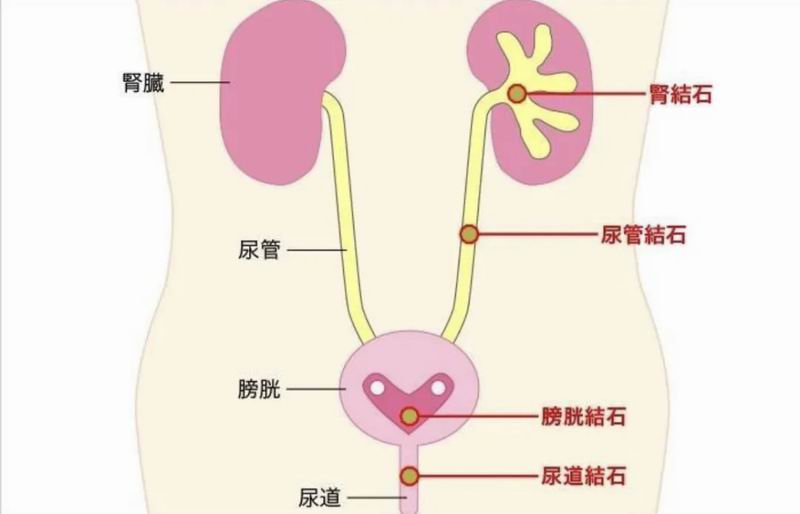 640_wx_fmt=png&from=appmsg&tp=webp&wxfrom=5&wx_lazy=1&wx_co=1 (45)