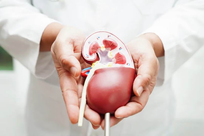 640_wx_fmt=png&from=appmsg&tp=webp&wxfrom=5&wx_lazy=1 (5)